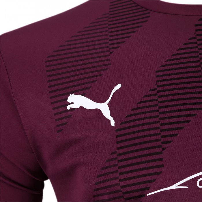 Puma Detail