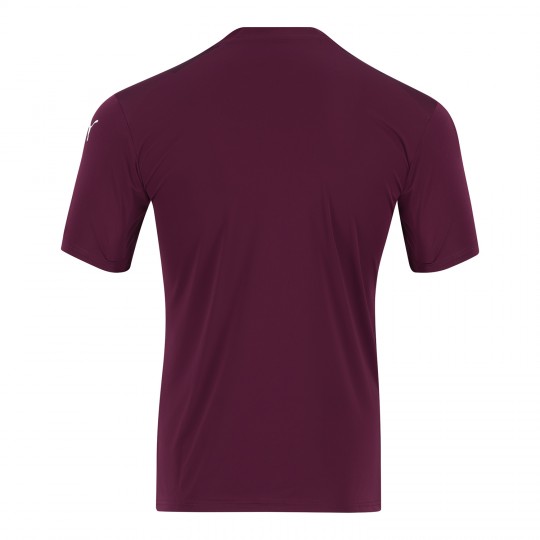 Third Shirt Back
