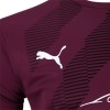 Puma Detail