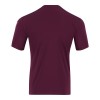 Third Shirt Back