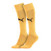 Oldham Junior 25/26 Home GK Sock